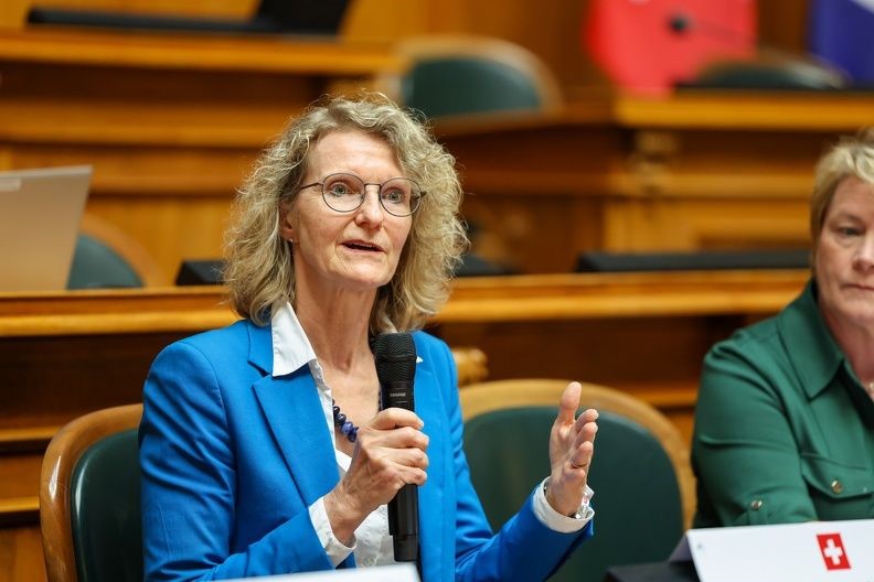 Talk in the Swiss Parliament, National Council
